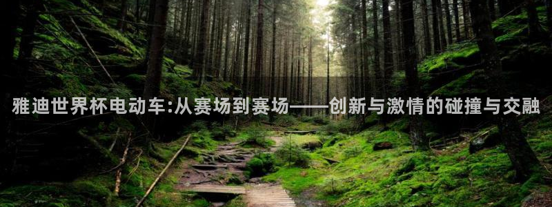 2026世界杯亚洲预选赛:雅迪世界杯电动车:从赛场到赛场——创新与激情的碰撞与交融
