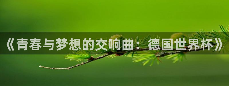2026年世界杯赛程:《青春与梦想的交响曲:德国世界杯》