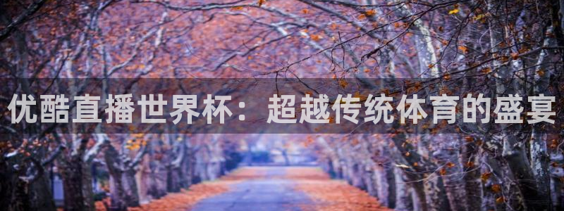 2026世界杯亚洲预选赛赛程:优酷直播世界杯:超越传统体育的盛宴