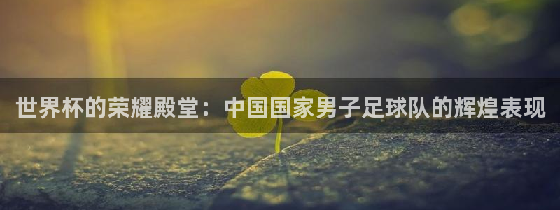 世界杯直播平台:世界杯的荣耀殿堂:中国国家男子足球队的辉煌表现