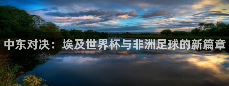 世界杯直播网:中东对决:埃及世界杯与非洲足球的新篇章