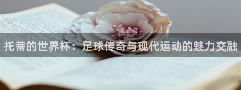 2026足球世界杯赛程:托蒂的世界杯:足球传奇与现代运动的魅力交融