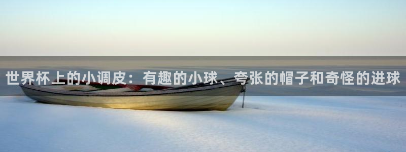 足球世预赛:世界杯上的小调皮:有趣的小球、夸张的帽子和奇怪的进球