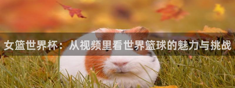世预赛欧洲赛程表:女篮世界杯:从视频里看世界篮球的魅力与挑战