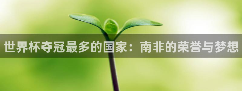 世界杯在线直播:世界杯夺冠最多的国家:南非的荣誉与梦想