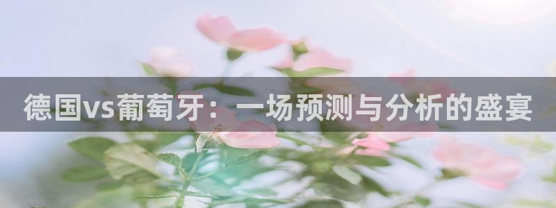 世界杯决赛圈球队:德国vs葡萄牙:一场预测与分析的盛宴