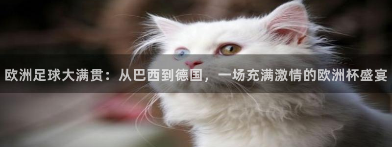 世界杯附加赛赛程表:欧洲足球大满贯:从巴西到德国,一场充满激情的欧洲杯盛宴