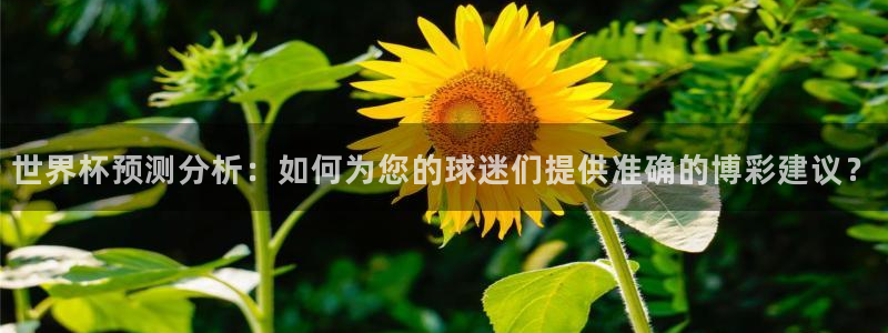 世界杯2026赛程时间表格:世界杯预测分析:如何为您的球迷们提供准确的博彩建议?